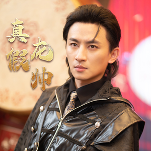 《真假龙帅》（81集）免费看短剧全集超爽