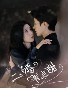 《二婚有点甜》（88集）短剧在线免费看全集