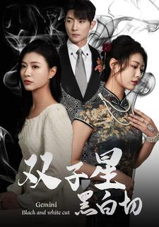 《双子星黑白切》（82集）畅享短剧全集在线观看之旅