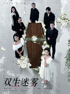 《双生迷雾》（80集）短剧全集畅享不停歇