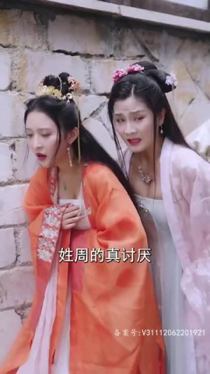 《大宋小郎君》（92集）短剧精彩剧情不容错过