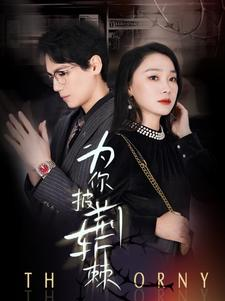 《为你披荆斩棘》（90集）热门短剧全集在线追看