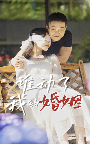 谁动了我的婚姻(24集) 谁动了我的婚姻(24集)免费在线看