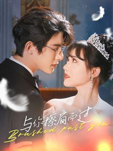 《与你擦肩而过》（80集）免费看短剧全集无遗漏