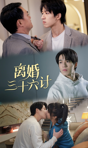 《离婚三十六计》（96集）免费看短剧全集来袭