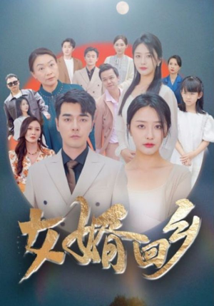 《女婿回乡》（120集）热门短剧在线看个够