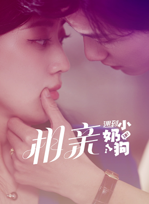 《相亲遇到小奶狗》（80集）免费看短剧全集超爽