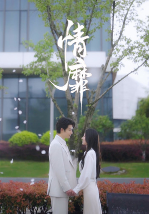 《情靡》（92集）短剧精彩剧情一追到底