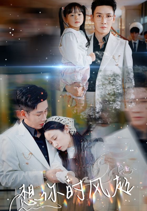 《想你时风起》（69集）免费畅看短剧完整剧情