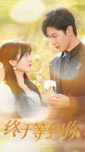 《终于等到你》（80集）畅享短剧全集在线追看