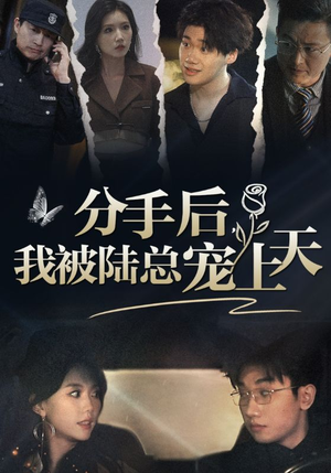 《分手后，我被陆总宠上天》（76集）看短剧一集不落超爽