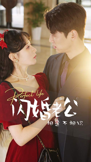 《闪婚老公相逢不相识》（90集）速来追短剧全集畅享