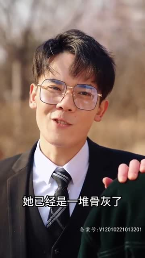 《系统提示您的钱已到账》（100集）热门短剧全集免费在线看