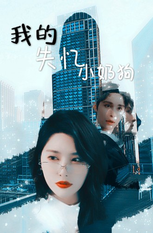 《我的失忆小奶狗》（64集）追短剧全集不间断