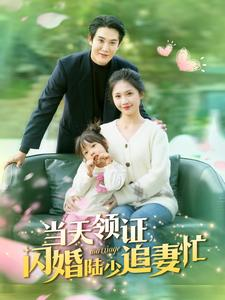 《当天领证闪婚陆少追妻忙》（80集）免费看短剧全集不停歇