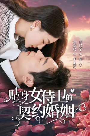 《贴身女侍卫的契约婚姻》（91集）一追到底短剧全集享