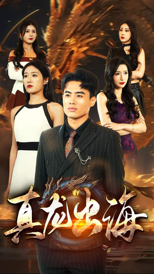 《真龙出海》（80集）看短剧不停歇爽翻天