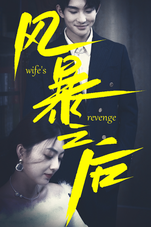 《风暴之后》（80集）短剧在线追过足戏瘾