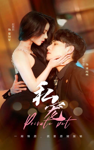 《私宠》（94集）热播短剧免费全集畅看