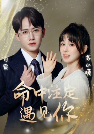 《命中注定遇见你》（96集）超燃短剧在线一看到底