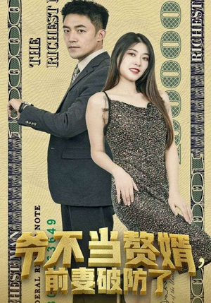 《爷不当赘婿，前妻破防了》（80集）短剧精彩在线一键追