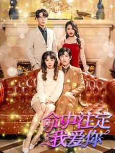 《命中注定我爱你》（99集）热门短剧一口气追完