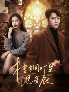 《梧桐叶里思星辰》（100集）看短剧全集免费畅享