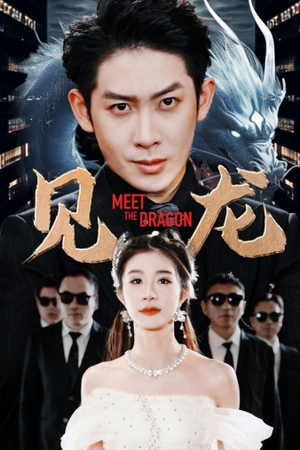 《见龙》（78集）精彩短剧免费全集观看