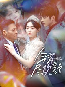 今宵尽欢颜(99集) 今宵尽欢颜(99集)让你一口气看完