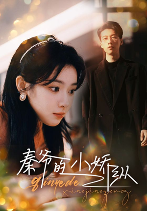 《秦爷的小娇纵》（96集）畅享短剧完整版观看