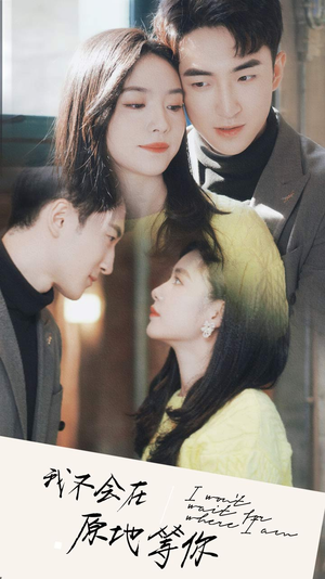 《我不会在原地等你》（48集）在线短剧免费看全集