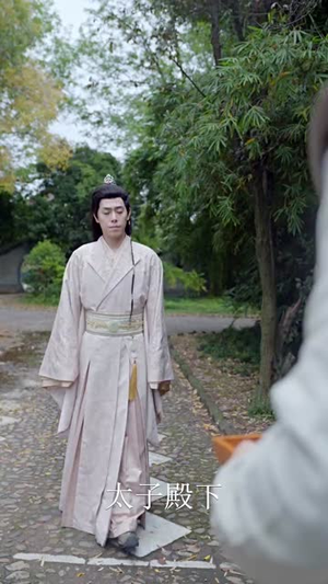 《霸道王爷的丫鬟娇妻》（88集）短剧免费畅享全集追