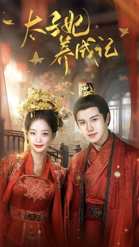 《太子妃养成记》（97集）爆款短剧一集不落追