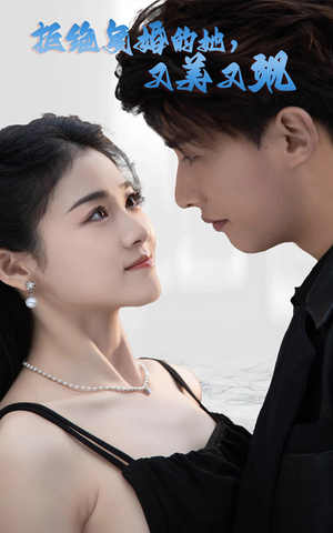 拒绝复婚的她，又美又飒（100集）演的怎么样