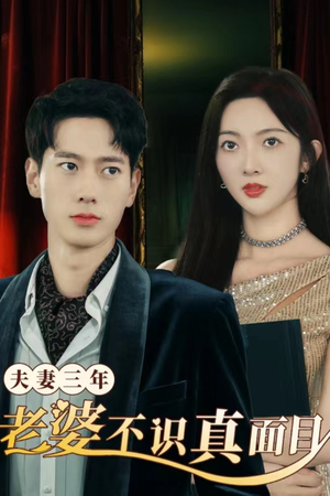 《夫妻三年老婆不识真面目》（83集）在线看短剧全集不停