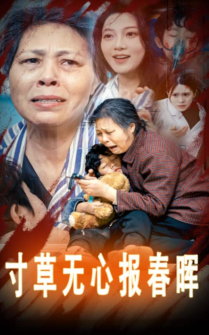 《孝子慈孙》（31集）免费短剧在线看不停歇