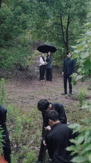 《爱随天意》（59集）免费短剧全集畅快追