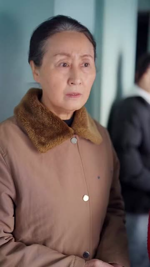 《春运回家路》（32集）短剧在线追超带劲儿