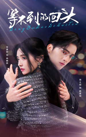 《等不到的回头》（35集）短剧免费全集畅快追