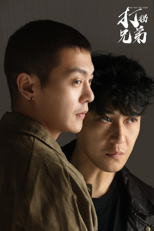 《打拐兄弟》（30集）热门短剧全集免费追