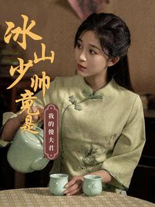 《冰山少帅竟是我的傻夫君》（86集）在线短剧免费畅快看