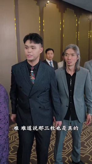 《白夜追凶之龙兄虎弟》（80集）超燃短剧在线看不停