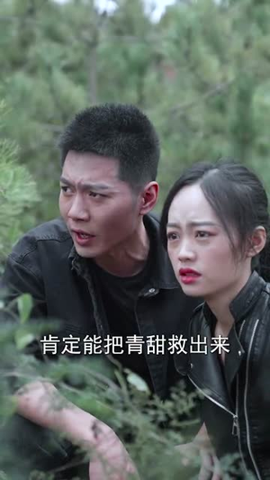 《喋血北寨》（90集）畅快追短剧全集免费