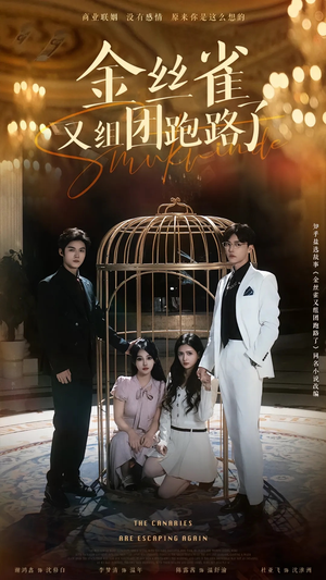 《金丝雀又组团跑路了》（长篇）短剧全集免费看个过瘾