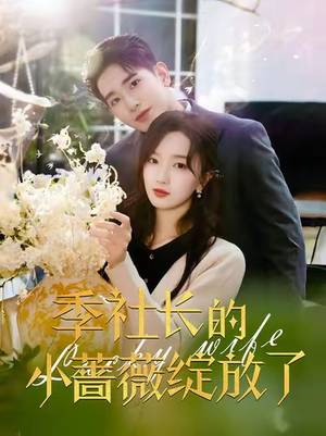 《季社长的小蔷薇绽放了》（60集）看短剧一气呵成追大剧