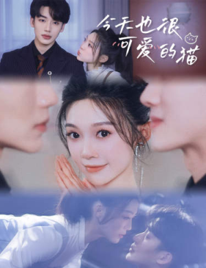 《今天也很可爱的猫》（72集）免费畅看短剧全集无阻