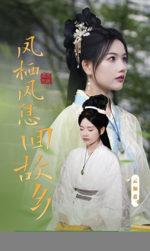 凤栖凤息回故乡（36集）精彩短剧分享。