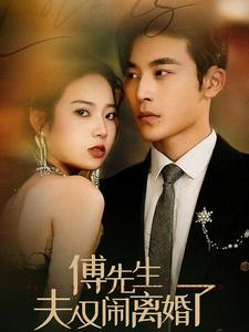 《傅先生夫人又闹离婚了》（80集）在线追短剧全集不歇