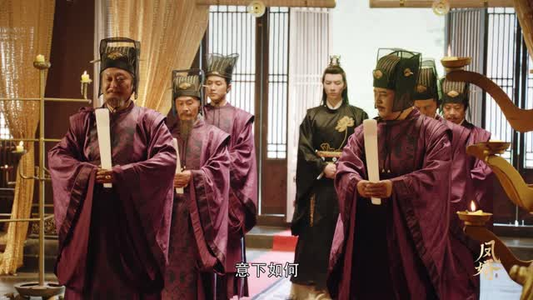 《凤婿》（28集）看短剧精彩全集不间断