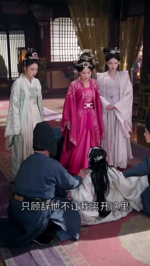 《宫锁南枝》（31集）短剧连播畅享完整故事